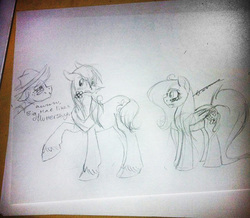 Size: 744x650 | Tagged: artist needed, safe, applejack, big macintosh, fluttershy, earth pony, pony, g4, flower, male, monochrome, mouth hold, pencil drawing, ship:fluttermac, shipping, sketch, stallion, straight, traditional art