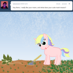 Size: 1279x1280 | Tagged: safe, artist:hollydash, holly dash, ask holly dash, g4, ask, solo, tumblr