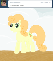 Size: 1111x1280 | Tagged: safe, artist:hollydash, carrot top, golden harvest, ask holly dash, g4, ask, female, solo, tumblr