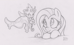 Size: 2116x1275 | Tagged: safe, artist:dfectivedvice, fluttershy, pixie, g4, grayscale, monochrome, sketch, traditional art