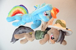 Size: 800x530 | Tagged: safe, artist:makeshiftwings30, daring do, rainbow dash, g4, irl, photo, plushie