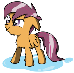Size: 2306x2272 | Tagged: safe, artist:bigshot232, scootaloo, pegasus, pony, g4, female, filly, foal, high res, scrunchy face, simple background, solo, transparent background, wet, wet mane