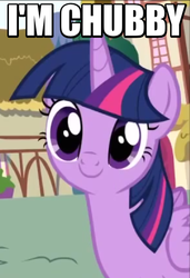 Size: 393x576 | Tagged: safe, edit, screencap, twilight sparkle, alicorn, pony, g4, pinkie pride, chubby, cute, female, image macro, looking at you, mare, meme, solo, twiabetes, twilight sparkle (alicorn)