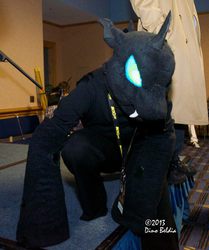 Size: 801x960 | Tagged: safe, changeling, human, cosplay, fursuit, irl, irl human, photo