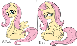 Size: 700x418 | Tagged: safe, artist:nekubi, fluttershy, g4, comparison, female, looking at you, pixiv, sitting, smiling, solo