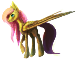Size: 694x540 | Tagged: safe, artist:asakilewolf, fluttershy, g4, female, solo
