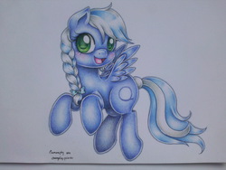 Size: 2048x1536 | Tagged: safe, artist:evomanaphy, oc, oc only, pegasus, pony, solo