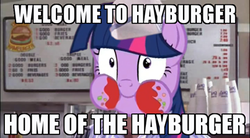 Size: 403x223 | Tagged: safe, twilight sparkle, alicorn, pony, g4, twilight time, all that, dialogue, female, good burger, hay burger, image macro, ketchup, mare, meme, solo, twilight burgkle, twilight sparkle (alicorn)