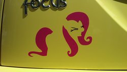 Size: 1024x577 | Tagged: safe, fluttershy, g4, car, decal, ford, ford focus, irl, photo, sticker