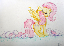 Size: 1232x891 | Tagged: safe, artist:prettypinkpony, fluttershy, pegasus, pony, rabbit, g4, animal, eyes closed, female, grass, long eyelashes, solo, spread wings, traditional art