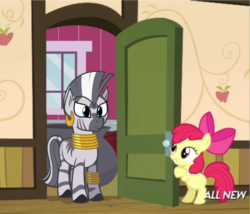 Size: 425x363 | Tagged: safe, apple bloom, zecora, zebra, g4, my little pony: friendship is magic, somepony to watch over me, apple closet, exploitable meme, meme