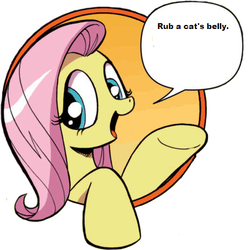 Size: 429x431 | Tagged: safe, idw, fluttershy, cat, friendship is magic #3, g4, my little pony: friendship is magic (idw), bad advice fluttershy, bellyrubs, exploitable meme, female, good advice fluttershy, meme, solo