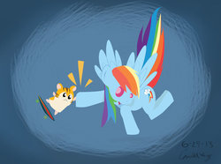 Size: 1024x760 | Tagged: safe, artist:kamy2425, rainbow dash, hamster, g4, crossover, hamtaro, stan (hamtaro)