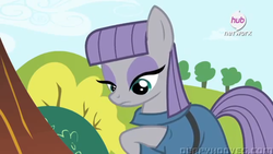 Size: 1366x768 | Tagged: safe, screencap, maud pie, earth pony, pony, g4, maud pie (episode), season 4, female, hub logo, solo, youtube link