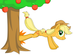 Size: 1032x774 | Tagged: safe, artist:umsauthorlava, applejack, earth pony, pony, g4, apple, apple tree, bucking, female, mare, simple background, solo, transparent background, tree