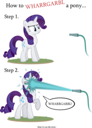 Size: 3850x5315 | Tagged: dead source, safe, artist:jittery-the-dragon, rarity, pony, unicorn, g4, annoyed, eyes closed, female, fine print, frown, glare, hose, mare, open mouth, pointless pony tips, raised hoof, simple background, solo, transparent background, vector, water, wharrgarbl