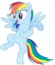 Size: 1713x2034 | Tagged: safe, artist:muffin mane, rainbow dash, g4, may the best pet win, female, solo, traditional art