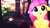 Size: 2560x1440 | Tagged: safe, artist:mastertrevor, artist:mlpblueray, artist:turbo740, fluttershy, g4, cute, female, forest, lens flare, solo, vector, wallpaper