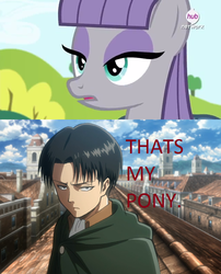 Size: 640x791 | Tagged: safe, edit, edited screencap, screencap, maud pie, g4, maud pie (episode), my little pony: friendship is magic, attack on titan, caption, levi ackerman, meme, that's my x