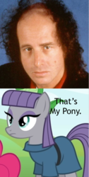 Size: 256x508 | Tagged: safe, maud pie, g4, maud pie (episode), comparison, meme, steven wright, that's my pony, that's my x