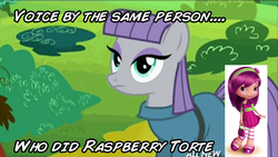 Size: 576x324 | Tagged: safe, maud pie, g4, maud pie (episode), my little pony: friendship is magic, exploitable meme, ingrid nilson, meme, raspberry torte (strawberry shortcake), same voice actor, strawberry shortcake, voice actor