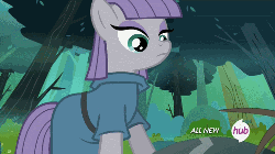 Size: 500x281 | Tagged: safe, screencap, fluttershy, fuzzy legs, maud pie, earth pony, pegasus, pony, spider, g4, maud pie (episode), animated, clothes, cute, drool, eye shimmer, female, flower, hub logo, hubble, mare, offering, present, smiling, spiderbro, talking, the hub