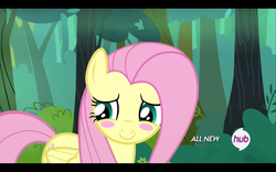 Size: 1680x1050 | Tagged: safe, screencap, fluttershy, pegasus, pony, g4, maud pie (episode), blushing, cute, embarrassed, female, hub logo, mare, shyabetes, solo