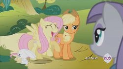 Size: 1280x720 | Tagged: safe, screencap, angel bunny, applejack, fluttershy, maud pie, g4, maud pie (episode), hub logo, hubble