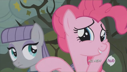 Size: 1280x720 | Tagged: safe, screencap, maud pie, pinkie pie, pony, g4, maud pie (episode), season 4, hub logo, hubble