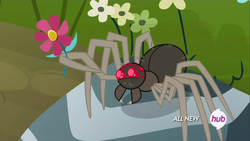Size: 1440x810 | Tagged: safe, screencap, fuzzy legs, spider, g4, maud pie (episode), ambiguous gender, cute, flower, hub logo, solo, spiderbro