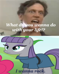 Size: 539x675 | Tagged: safe, maud pie, g4, maud pie (episode), meme, rock, twisted sister