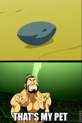 Size: 333x500 | Tagged: safe, boulder (g4), g4, maud pie (episode), avatar the last airbender, caption, image macro, meme, the boulder