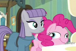 Size: 599x404 | Tagged: safe, screencap, maud pie, pinkie pie, earth pony, pony, g4, maud pie (episode), season 4, :t, derp, female, great moments in animation, mare, maud being maud, pinkie being pinkie, ponk, smear frame, smiling, wat