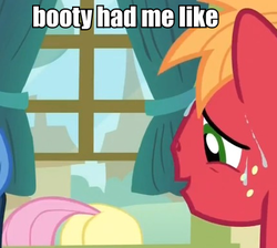 Size: 430x385 | Tagged: safe, edit, edited screencap, screencap, big macintosh, fluttershy, earth pony, pony, filli vanilli, g4, ass up, butt, butt tail, caption, dat ass, female, image macro, male, mare, meme, plot, stallion, straight, sweat, text