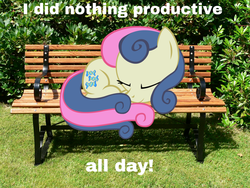 Size: 1200x900 | Tagged: safe, bon bon, sweetie drops, g4, bench, eyes closed, i have done nothing productive all day, image macro, irl, meme, photo, ponies in real life, prone, sleeping, smiling, solo