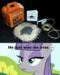 Size: 400x503 | Tagged: safe, maud pie, g4, maud pie (episode), my little pony: friendship is magic, caption, ebay, meme, pet rock