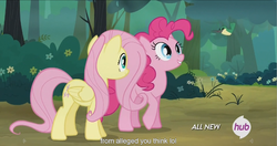 Size: 1441x761 | Tagged: safe, screencap, fluttershy, pinkie pie, g4, maud pie (episode), hub logo, meme, youtube caption