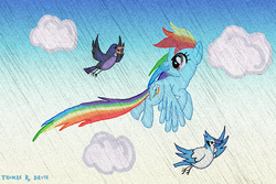 Size: 864x576 | Tagged: safe, artist:thomasriordan, rainbow dash, bird, g4, cloud, cloudy, female, flying, solo