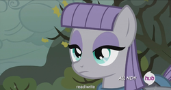 Size: 1438x762 | Tagged: safe, screencap, maud pie, g4, maud pie (episode), all new, female, hub logo, meme, solo, text, youtube caption