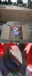 Size: 1320x3144 | Tagged: safe, rainbow dash, pegasus, pony, fanfic:my little dashie, g4, canaletto, dashie meme, evil people finding dash meme, exploitable meme, meme, oban star racers