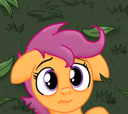 Size: 3124x2780 | Tagged: safe, artist:ajmstudios, scootaloo, g4, cute, female, grass, high res, on back, scootaloo's scootaquest, solo