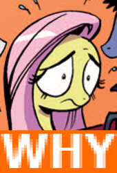 Size: 236x348 | Tagged: safe, idw, fluttershy, g4, female, image macro, low quality, meme, reaction image, solo, why.jpg