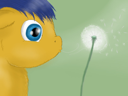 Size: 831x626 | Tagged: safe, artist:waggytail, fluffy pony, dandelion, doodle, fascinating, solo