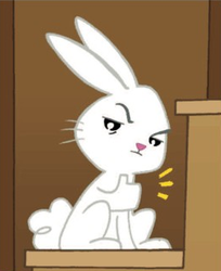 Size: 260x318 | Tagged: safe, idw, angel bunny, g4, male, reaction image, solo