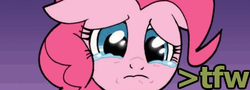 Size: 409x148 | Tagged: safe, idw, pinkie pie, g4, feels, female, meme, reaction image, solo