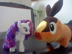 Size: 500x375 | Tagged: safe, artist:moonblizzard, rarity, tepig, g4, ask, brushable, irl, photo, rarity answers, toy, tumblr