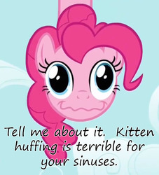 Size: 500x550 | Tagged: safe, pinkie pie, g4, pinkie apple pie, female, huffing, implied cat, insane pony thread, kitten huffing, solo, uncyclopedia