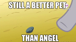 Size: 767x424 | Tagged: safe, screencap, angel bunny, boulder (g4), g4, maud pie (episode), image macro, meme, still a better x than y