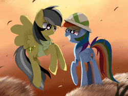 Size: 1024x768 | Tagged: dead source, safe, artist:misspolycysticovary, daring do, rainbow dash, pegasus, pony, g4, accessory swap, duo, female, grin, hat, lesbian, ship:daringdash, shipping