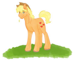 Size: 1024x819 | Tagged: safe, artist:natschkareksio, applejack, g4, applejack (male), rule 63, solo, unshorn fetlocks